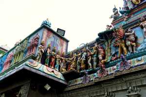 LITTLE INDIA (168)